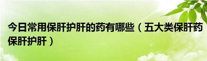 今日常用保肝护肝的药有哪些(五大类保肝药保肝护肝)