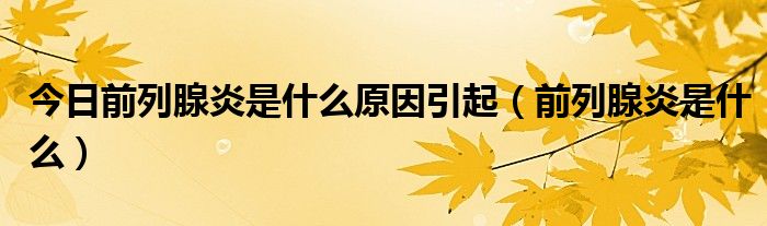 今日前列腺炎是什么原因引起(前列腺炎是什么)