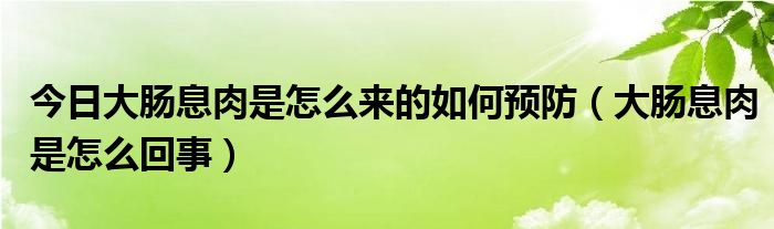 今日大肠息肉是怎么来的如何预防(大肠息肉是怎么回事)