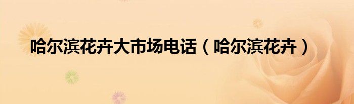 哈尔滨花卉大市场电话(哈尔滨花卉)
