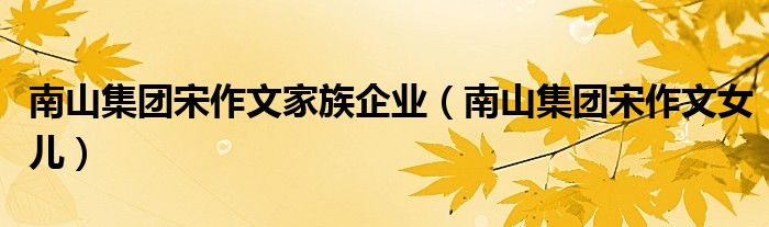 南山集团宋作文家族企业(南山集团宋作文女儿)