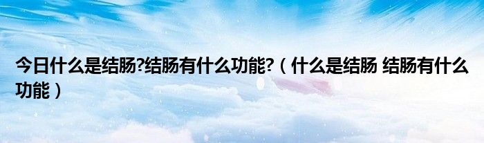 今日什么是结肠?结肠有什么功能?(什么是结肠 结肠有什么功能)