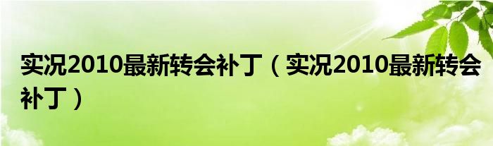 实况2010最新转会补丁(实况2010最新转会补丁)