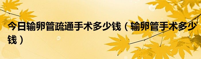 今日输卵管疏通手术多少钱(输卵管手术多少钱)