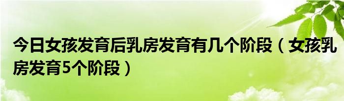 今日女孩发育后乳房发育有几个阶段(女孩乳房发育5个阶段)