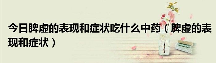 今日脾虚的表现和症状吃什么中药(脾虚的表现和症状)