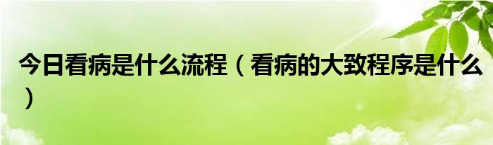 今日看病是什么流程(看病的大致程序是什么)