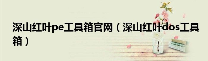 深山红叶pe工具箱官网(深山红叶dos工具箱)