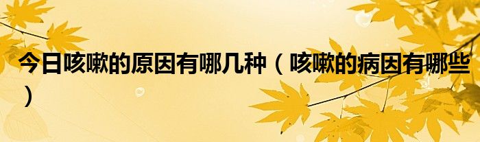 今日咳嗽的原因有哪几种(咳嗽的病因有哪些)