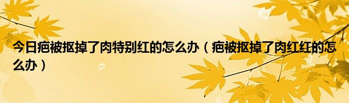 今日疤被抠掉了肉特别红的怎么办(疤被抠掉了肉红红的怎么办)