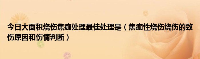 今日大面积烧伤焦痂处理最佳处理是(焦痂性烧伤烧伤的致伤原因和伤情判断)