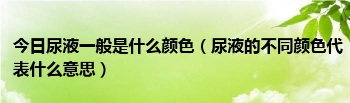 今日尿液一般是什么颜色(尿液的不同颜色代表什么意思)