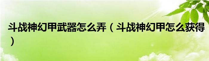 斗战神幻甲武器怎么弄(斗战神幻甲怎么获得)