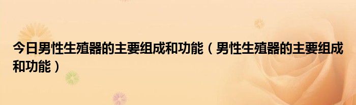 今日男性生殖器的主要组成和功能(男性生殖器的主要组成和功能)
