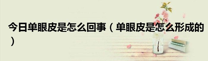 今日单眼皮是怎么回事(单眼皮是怎么形成的)
