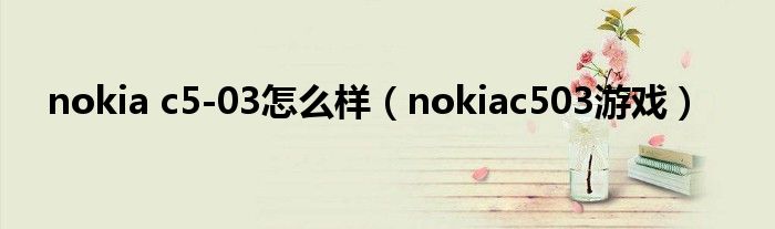 nokia c5-03怎么样(nokiac503游戏)
