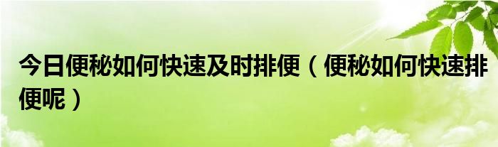 今日便秘如何快速及时排便(便秘如何快速排便呢)