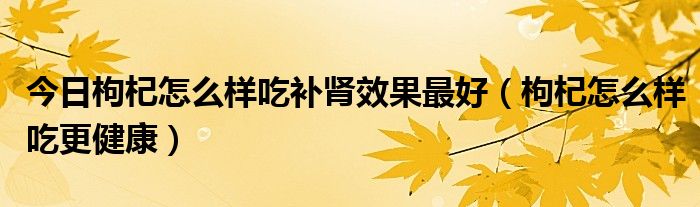今日枸杞怎么样吃补肾效果最好(枸杞怎么样吃更健康)