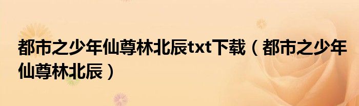 都市之少年仙尊林北辰txt下载(都市之少年仙尊林北辰)