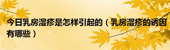 今日乳房湿疹是怎样引起的(乳房湿疹的诱因有哪些)