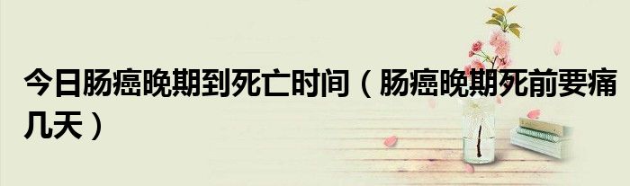 今日肠癌晚期到死亡时间(肠癌晚期死前要痛几天)