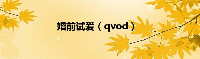 婚前试爱(qvod)