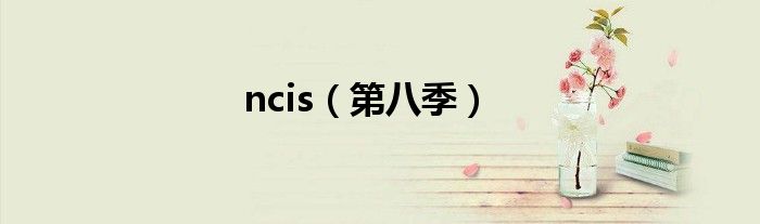 ncis(第八季)