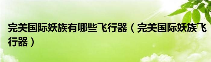 完美国际妖族有哪些飞行器(完美国际妖族飞行器)