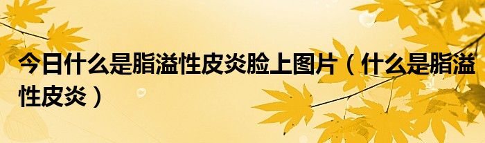 今日什么是脂溢性皮炎脸上图片(什么是脂溢性皮炎)