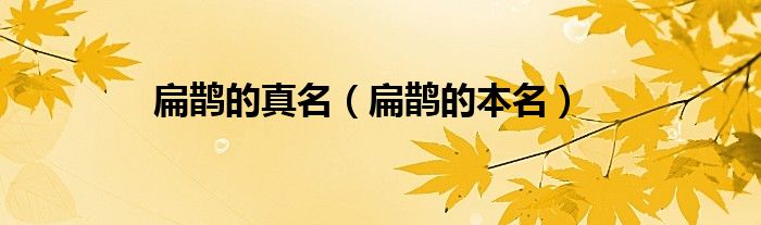 扁鹊的真名（扁鹊的本名）