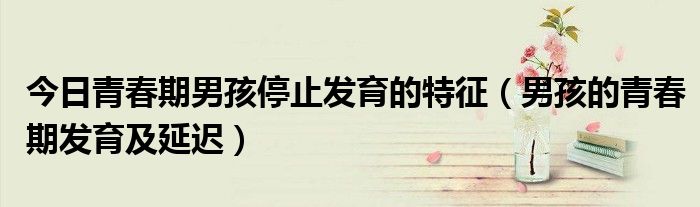 今日青春期男孩停止发育的特征(男孩的青春期发育及延迟)