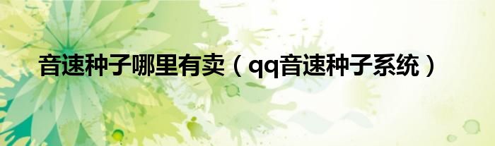 音速种子哪里有卖(qq音速种子系统)