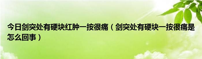 今日剑突处有硬块红肿一按很痛(剑突处有硬块一按很痛是怎么回事)