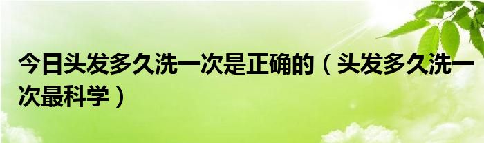 今日头发多久洗一次是正确的(头发多久洗一次最科学)