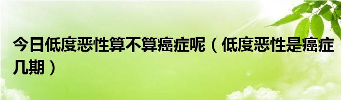 今日低度恶性算不算癌症呢（低度恶性是癌症几期）