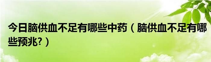 今日脑供血不足有哪些中药(脑供血不足有哪些预兆?)
