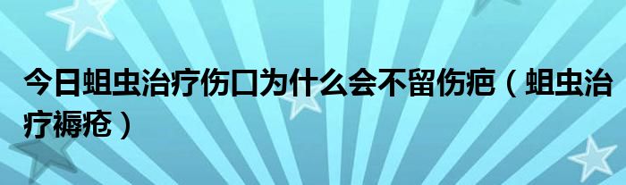 今日蛆虫治疗伤口为什么会不留伤疤(蛆虫治疗褥疮)