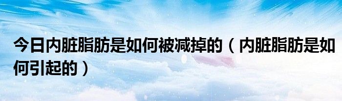 今日内脏脂肪是如何被减掉的(内脏脂肪是如何引起的)
