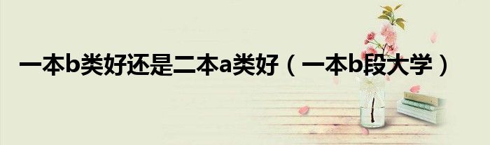 一本b类好还是二本a类好(一本b段大学)