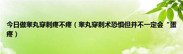 今日做睾丸穿刺疼不疼(睾丸穿刺术恐惧但并不一定会“蛋疼)