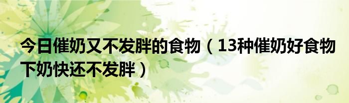 今日催奶又不发胖的食物(13种催奶好食物下奶快还不发胖)