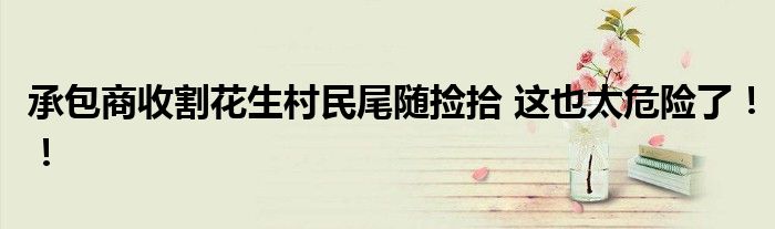 承包商收割花生村民尾随捡拾 这也太危险了!!