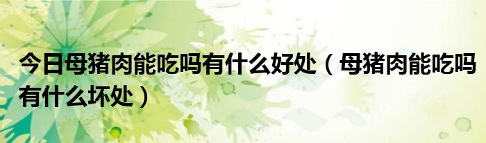 今日母猪肉能吃吗有什么好处(母猪肉能吃吗有什么坏处)