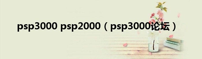 psp3000 psp2000(psp3000论坛)