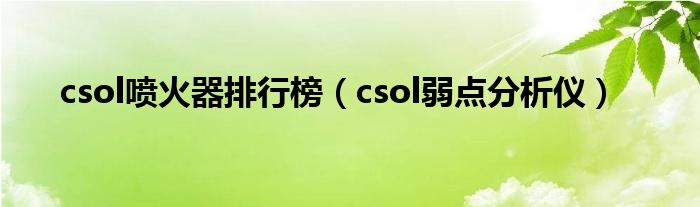 csol喷火器排行榜(csol弱点分析仪)