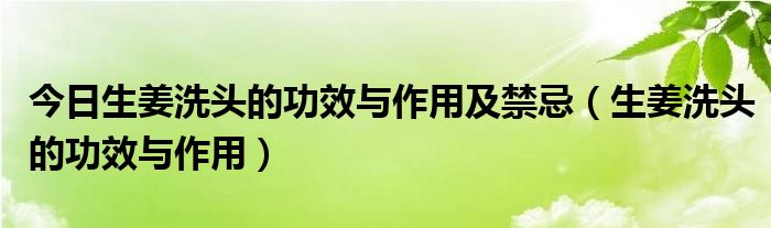 今日生姜洗头的功效与作用及禁忌(生姜洗头的功效与作用)