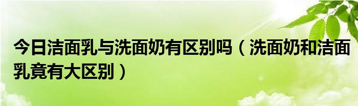 今日洁面乳与洗面奶有区别吗(洗面奶和洁面乳竟有大区别)