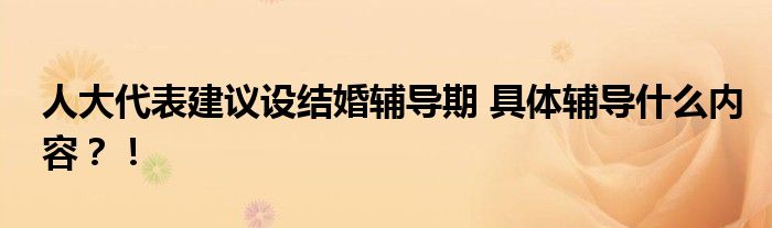 人大代表建议设结婚辅导期 具体辅导什么内容?!