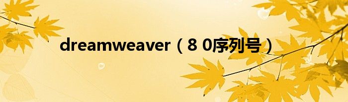 dreamweaver（8 0序列号）