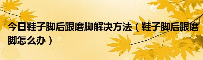 今日鞋子脚后跟磨脚解决方法（鞋子脚后跟磨脚怎么办）